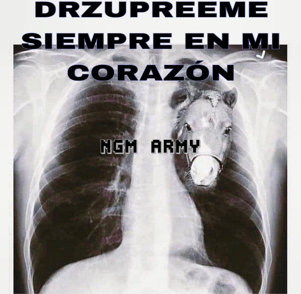 BEBORRONES ARMY tweet media