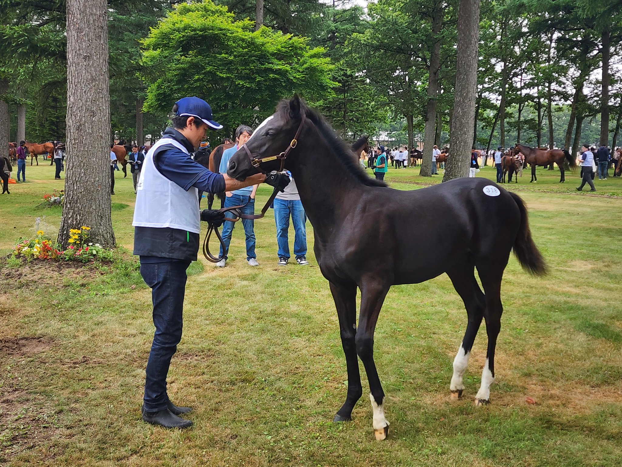 イクイノックス産駒すごい - Search / X