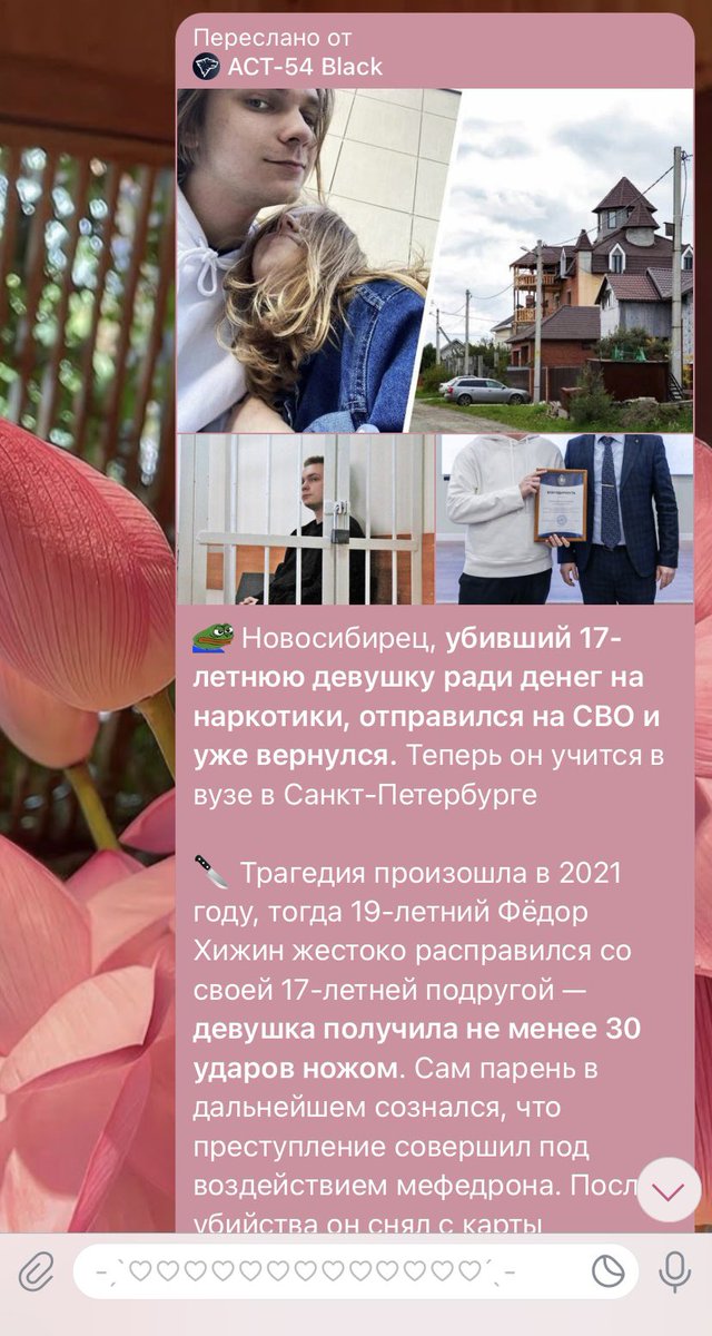 Лиза tweet media