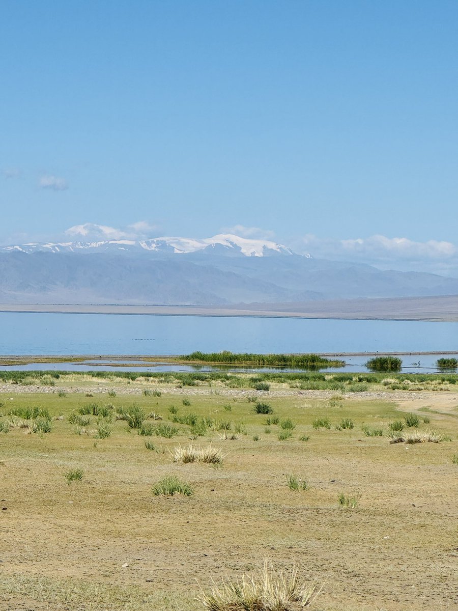 Үүрэг нуурын хөвөө, алсад мөнх цаст Мөнгөн тайга. Даанч оросод Мөнгөн тайгаа булаалгуулчихсан.