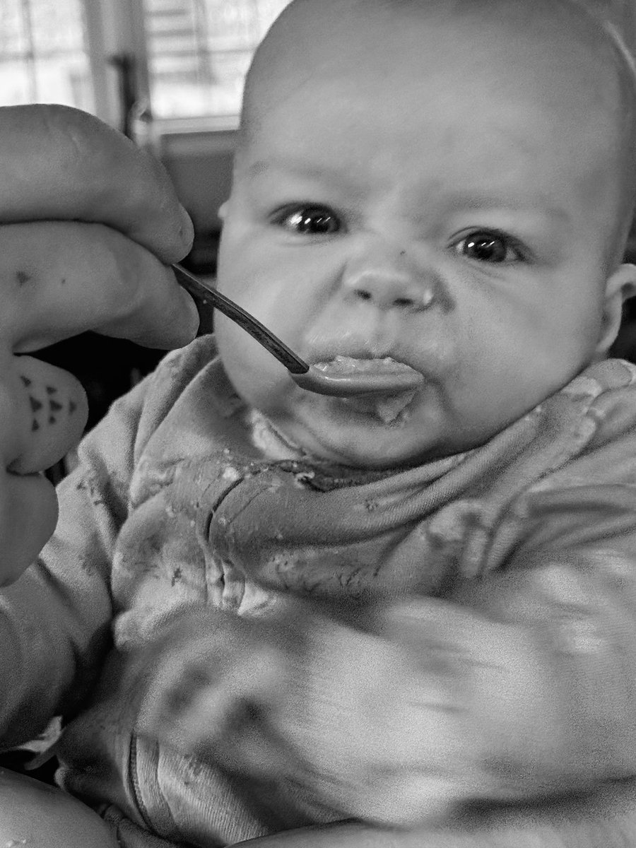 KevinDombrowski's tweet image. Telling my 4 month old to blame RFK for the taste of her first food.