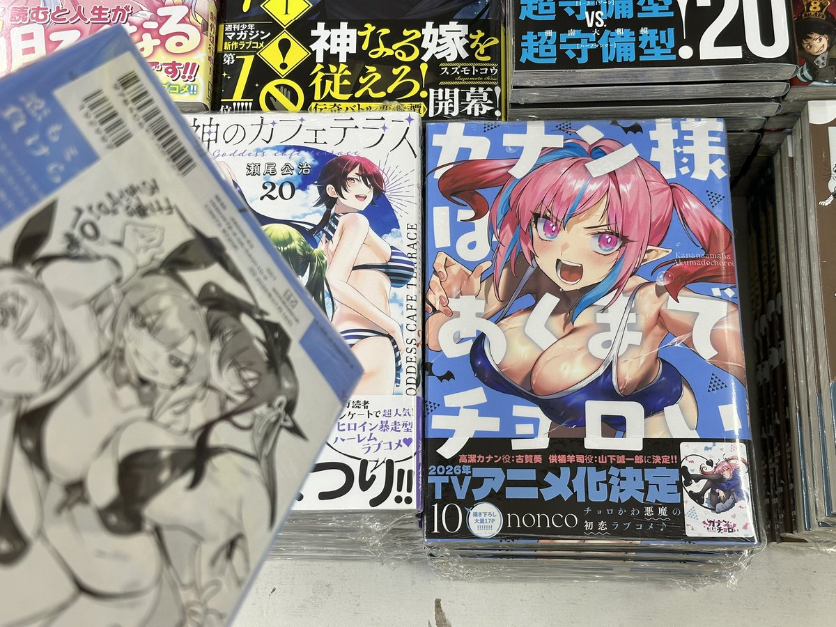 はくまい様　購入専用ページ ハック(Hac) 置物 ぎゅ~っと くまさん 48cm ぬいぐるみ HAC2228