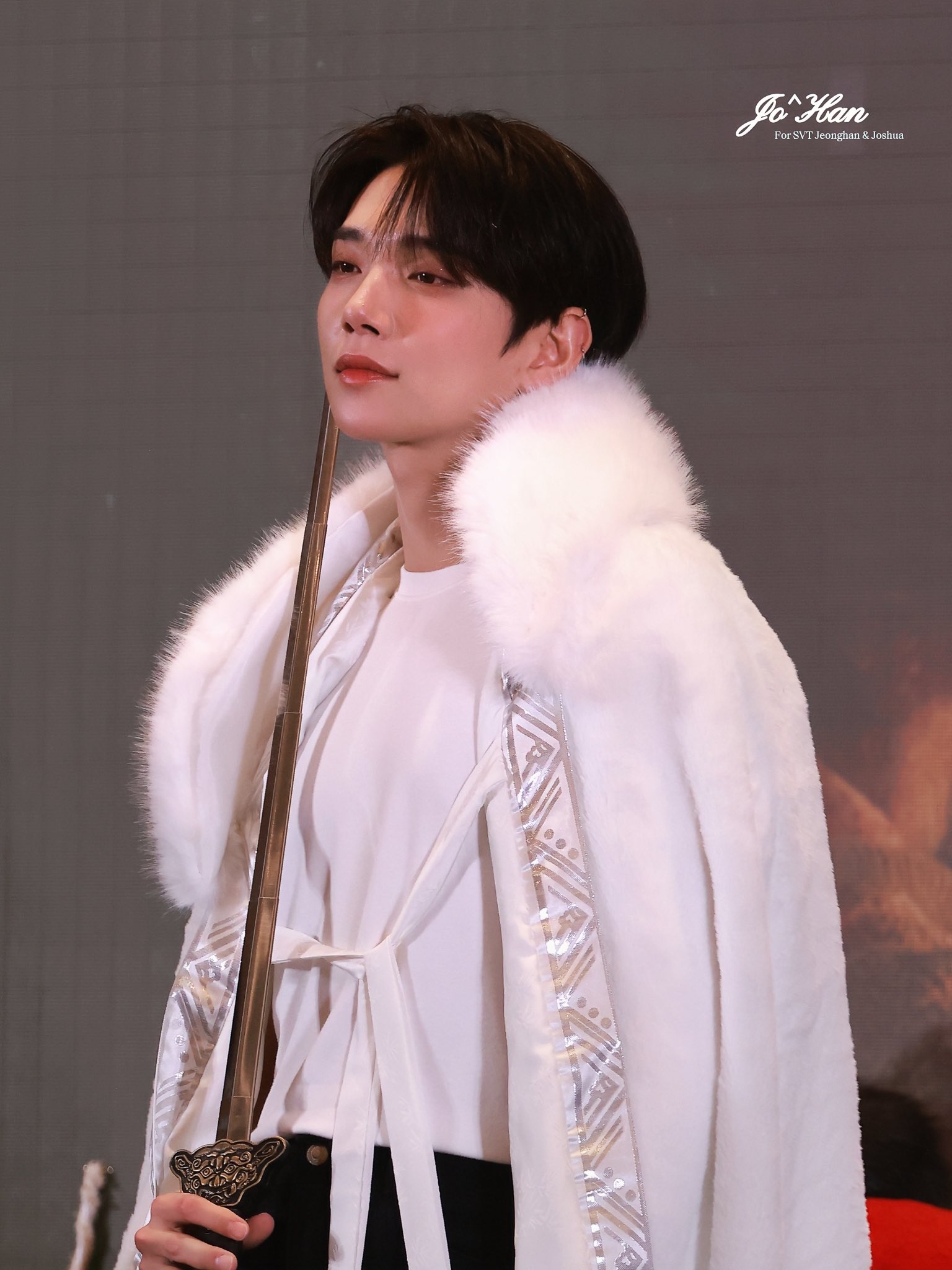 SEVENTEEN YIZHIYU特典 ジョシュア SEVENTEEN 7ELEVEN セブンイレブン 特典 トレカ ジョシュア