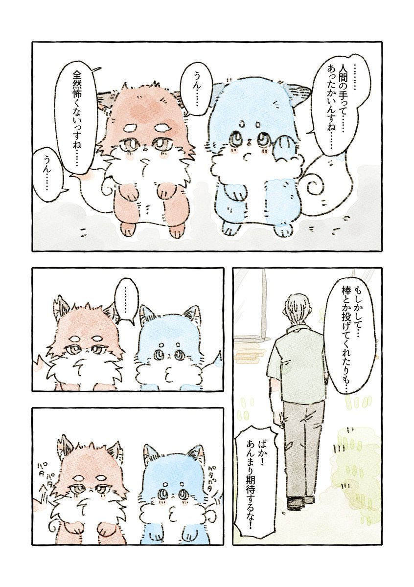 化けギツネのちくわ tweet media