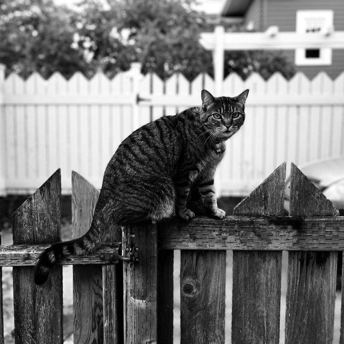 fence operation