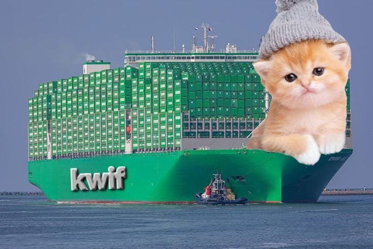 aiworldsoon's tweet image. When the $Kwif is pumped
