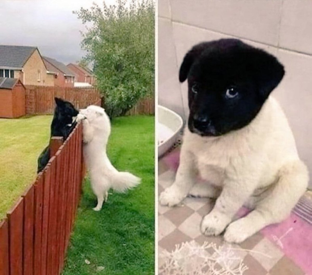 And it all started with a kiss! 😂😂