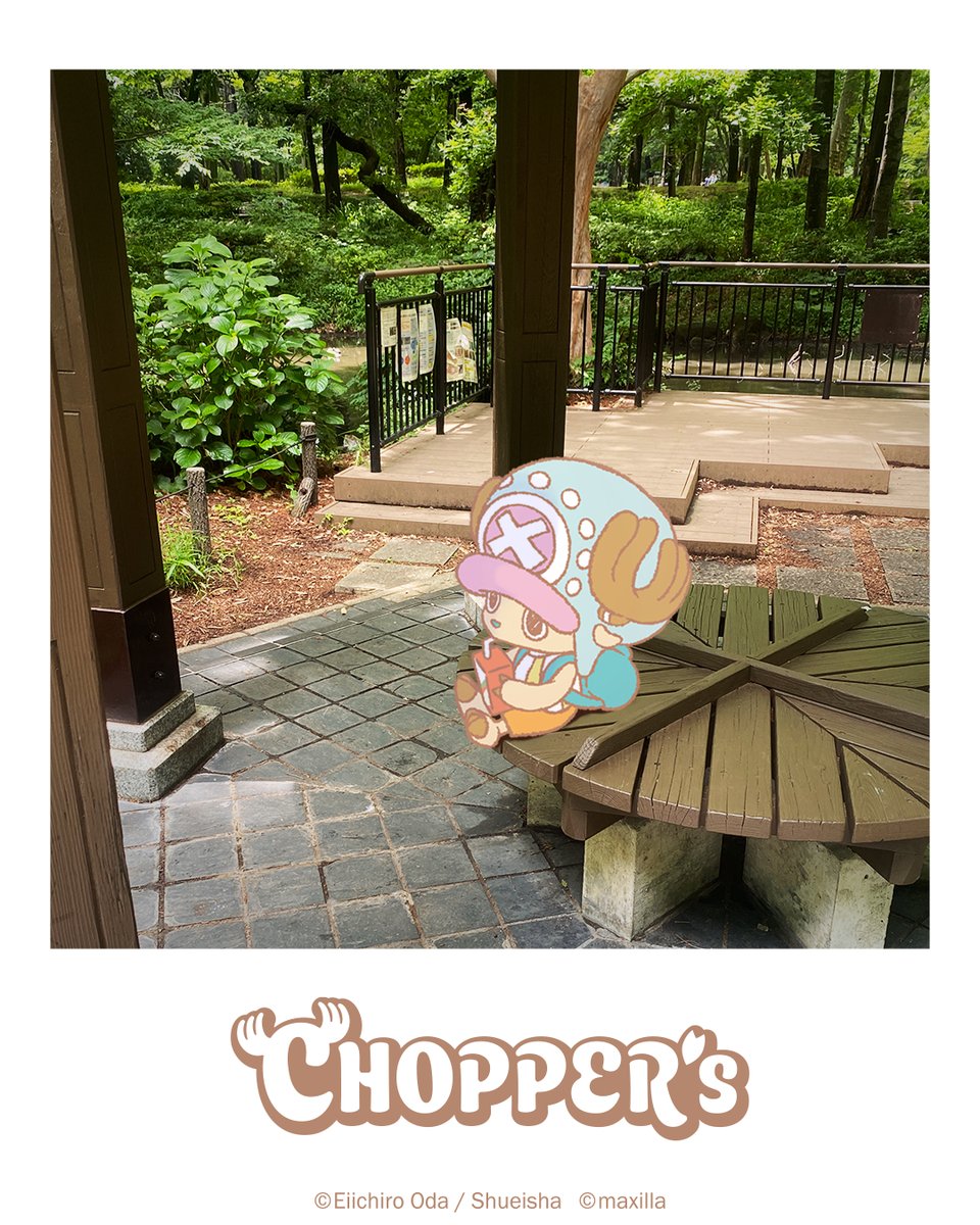 choppers_op's tweet image. ちょっとだけ休憩🧃

#CHOPPERS_ONEPIECE