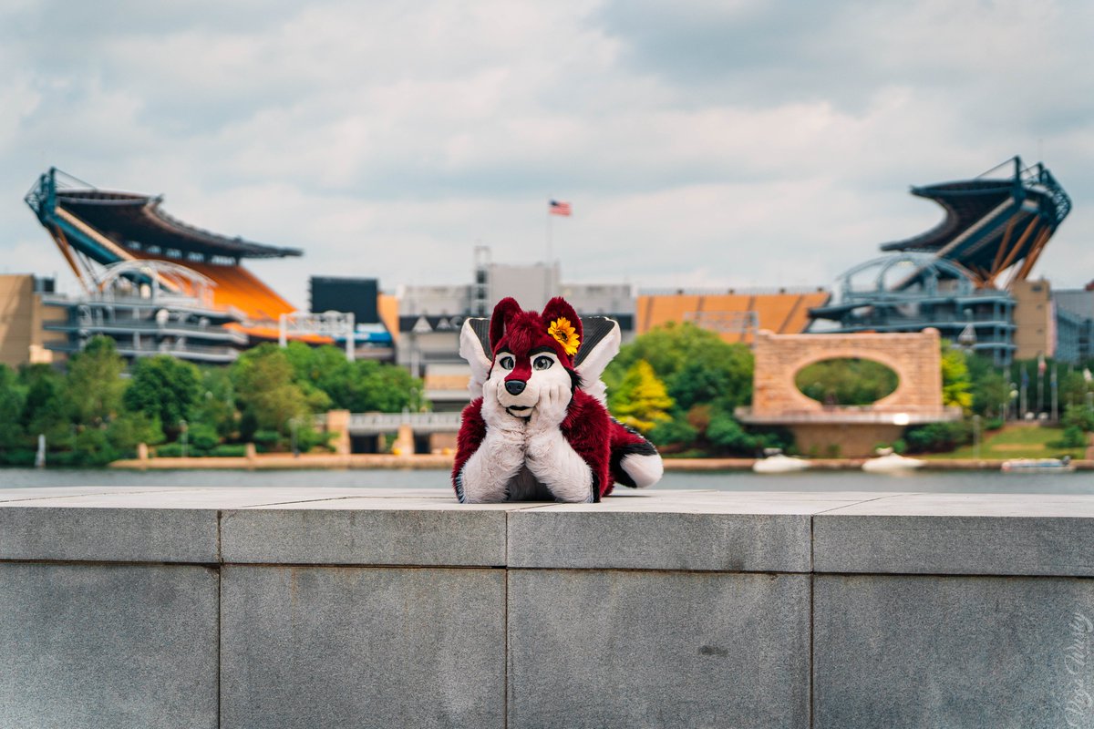 Knoxx ๐ FWA (@knoxx1616) on Twitter photo Do you think the Pittsburgh <a href="/Pirates/">Pittsburgh Pirates</a> would toss this husky a ball?
๐ท: <a href="/VegaWusky/">Vega Wusky</a> Do you think the Pittsburgh <a href="/Pirates/">Pittsburgh Pirates</a> would toss this husky a ball?
๐ท: <a href="/VegaWusky/">Vega Wusky</a>