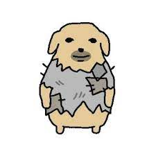 sharktoofs1's tweet image. welcome home yuzuha