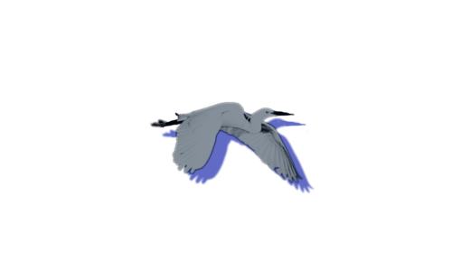 LUClOLES's tweet image. ⠀⠀⠀
🪶.
⠀⠀⠀