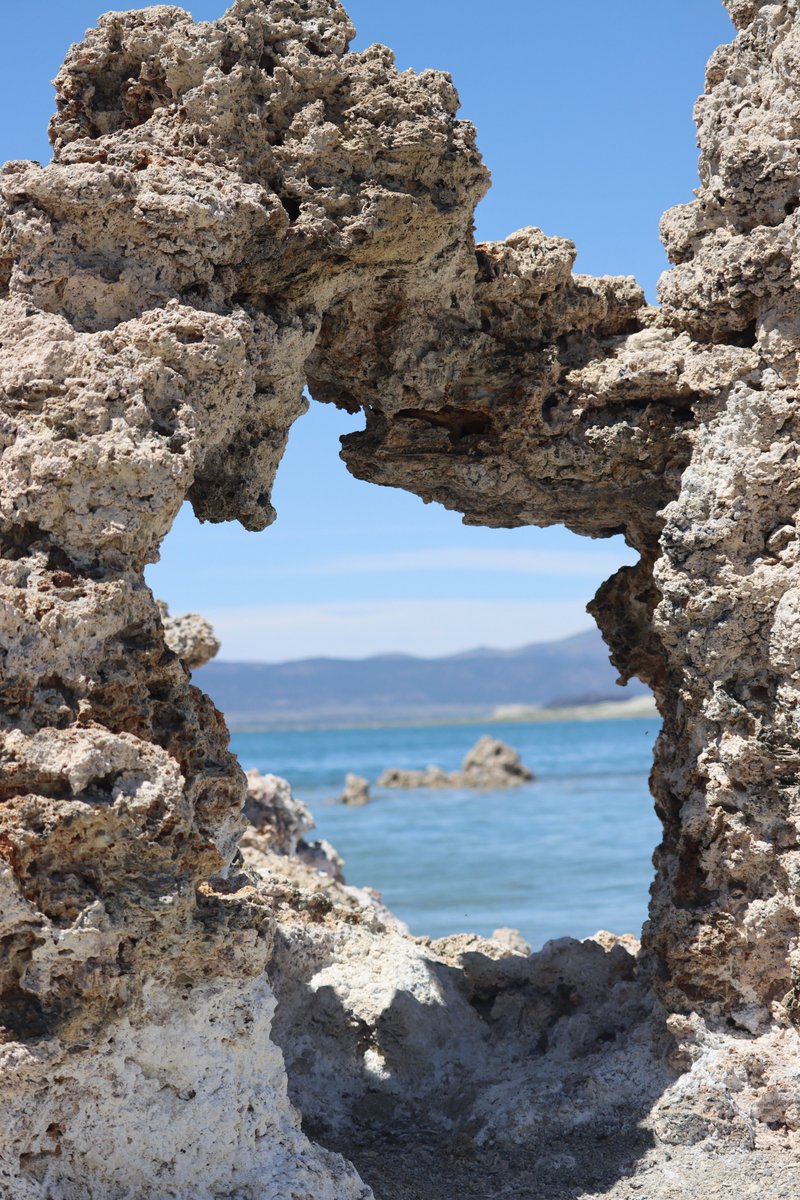 YBirder's tweet photo. These beautiful Violet-Green Swallows were flying over Mono Lake which is near Yosemite. Every now and then these swallows would perch and land on rocks called "tufa". Tufa is a porous rock which these birds seems to love. #birds #birding #birdphotography https://t.co/E8QIoH8zZu