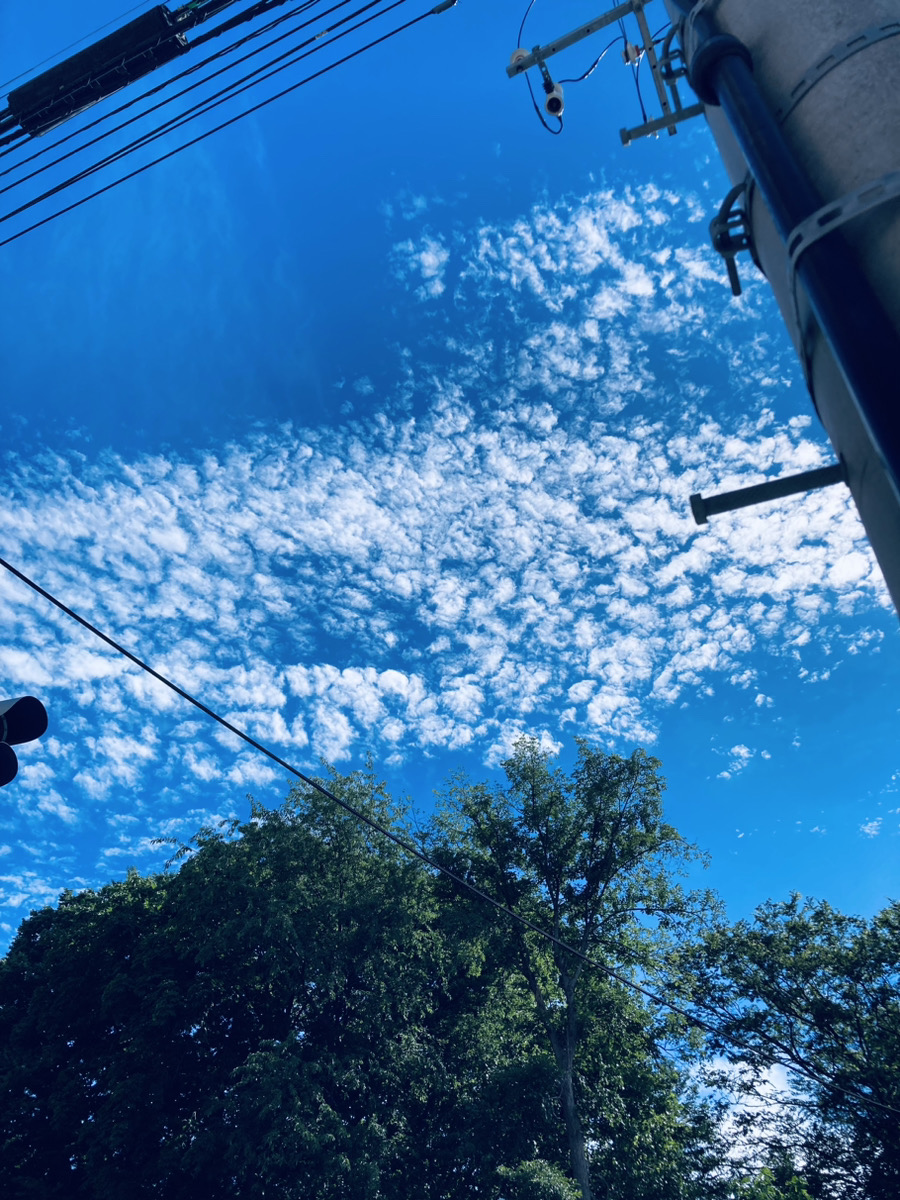 webstudysapporo's tweet image. こんにちは！！
暑い日が続いていますね。なのに時々雨が降るという………。
こういう時に体調崩す人が多いので、熱中症はもちろん、お腹に注意を😀
無理しないでたくさん睡眠取って、栄養取ってお出かけしてくださいね😊