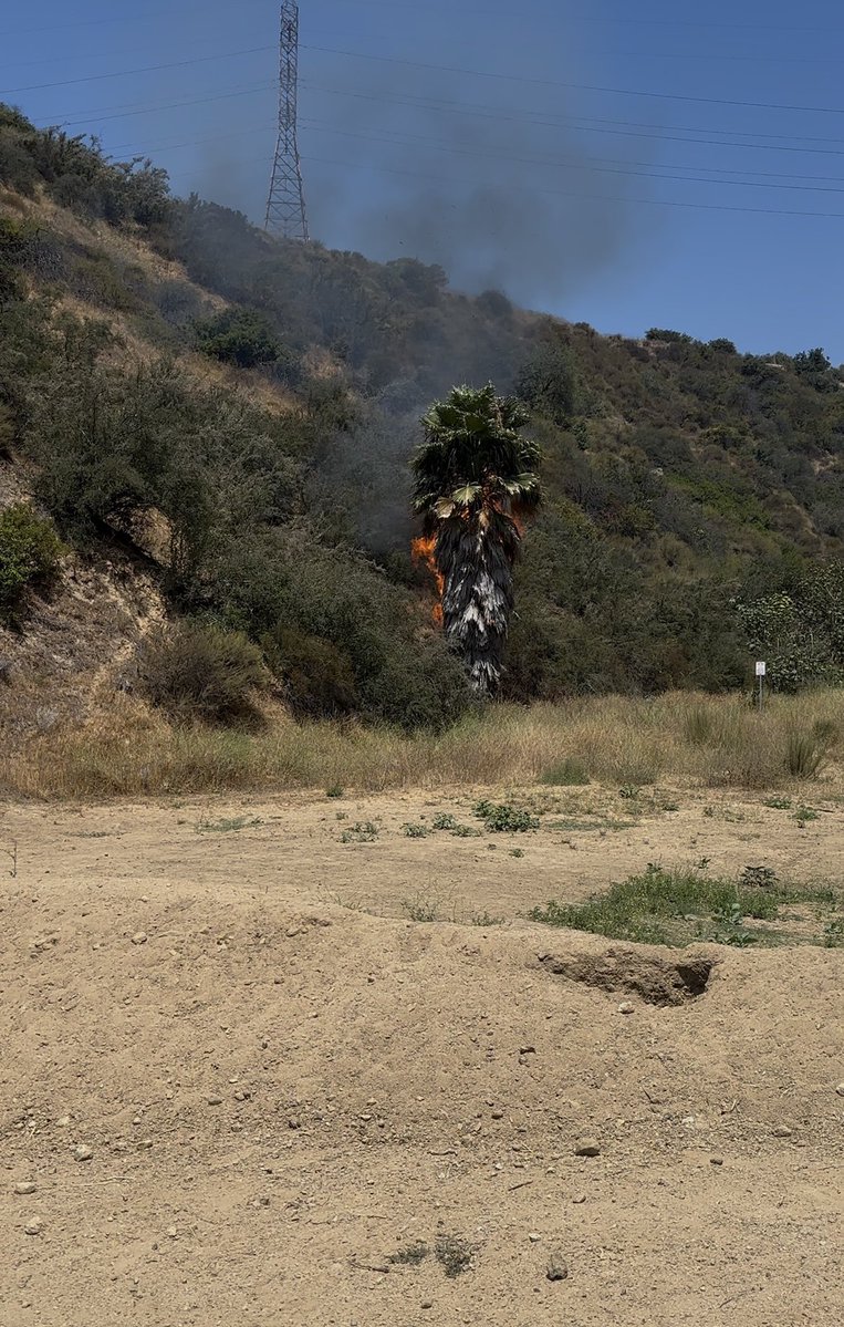 MattSeedorff's tweet image. NEW: The man confronted and detained by hikers for allegedly starting a wildfire in Los Angeles, CA has been identified as Andrew Ocalliham (43).
Hikers say he ignited a fire Sunday along LA’s popular Runyon Canyon trail. They detained him for more than an hour before…