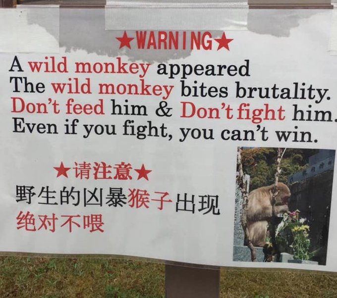 a lot of wisdom here
