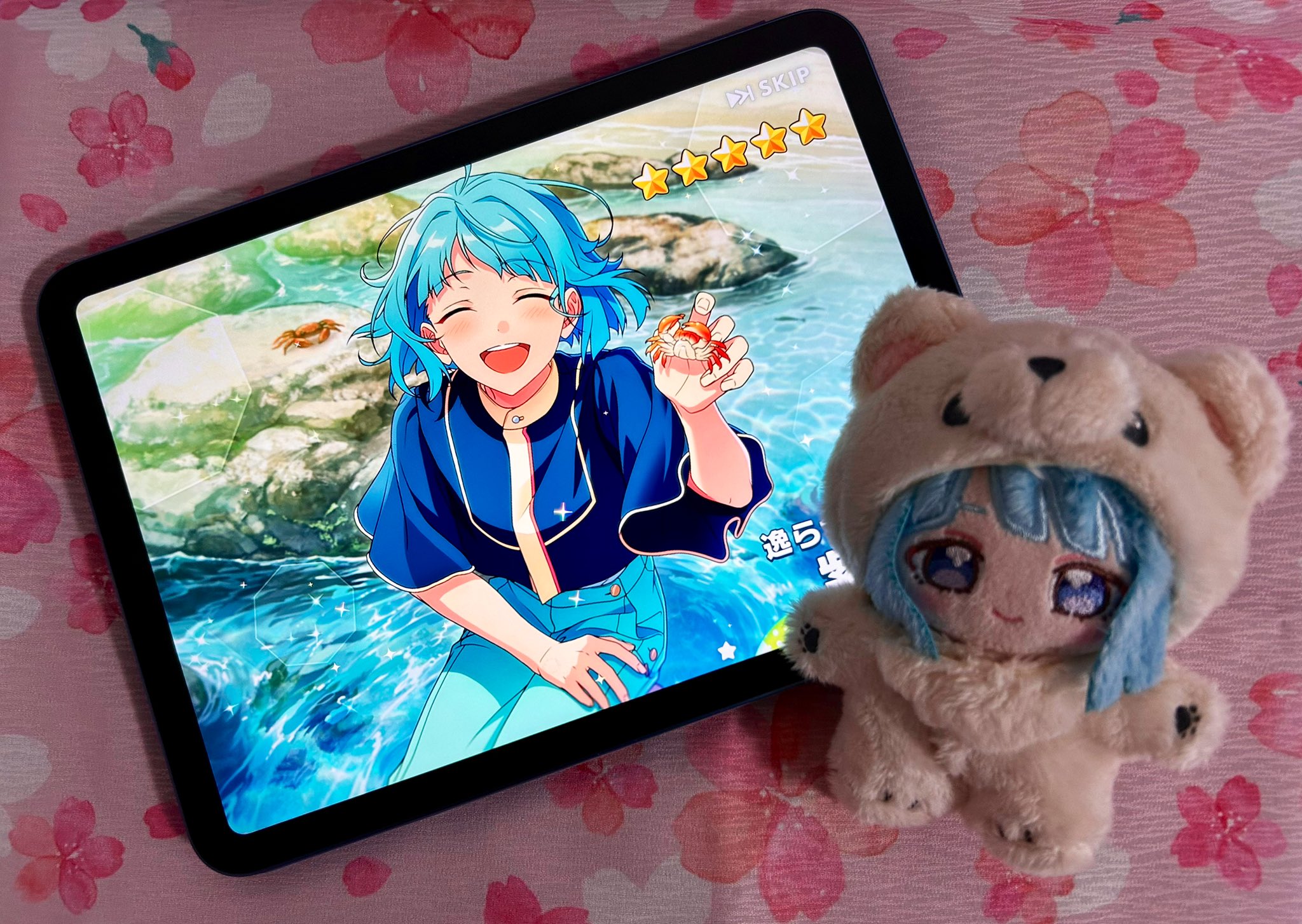 ✩るるか🌸✩はるかサン🐈‍⬛🐾猫説 on X: 