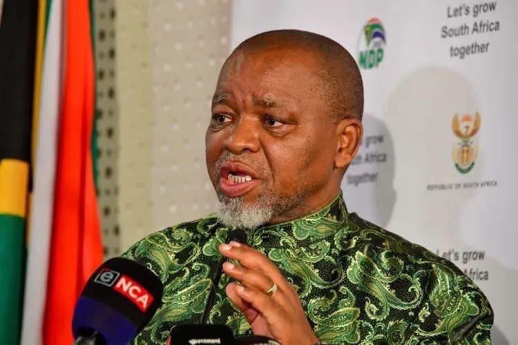 oupapilane's tweet image. So technically the country has got three police ministers and two deputies. It must be nice.