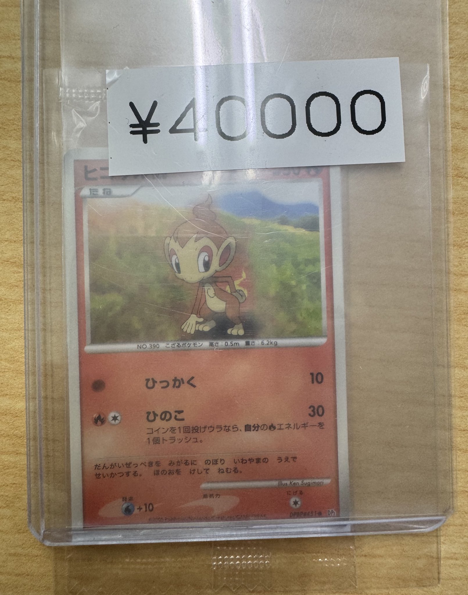 ヒコザル Lv.8 ポケモンカード　ミニカード ポケモンカード ミニカード 未開封 プロモ ヒコザル 2007