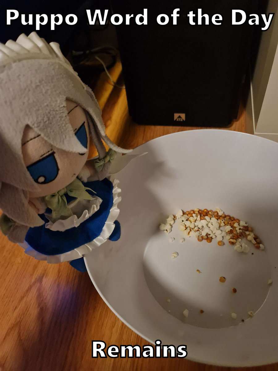 PuppoWOTD's tweet image. 