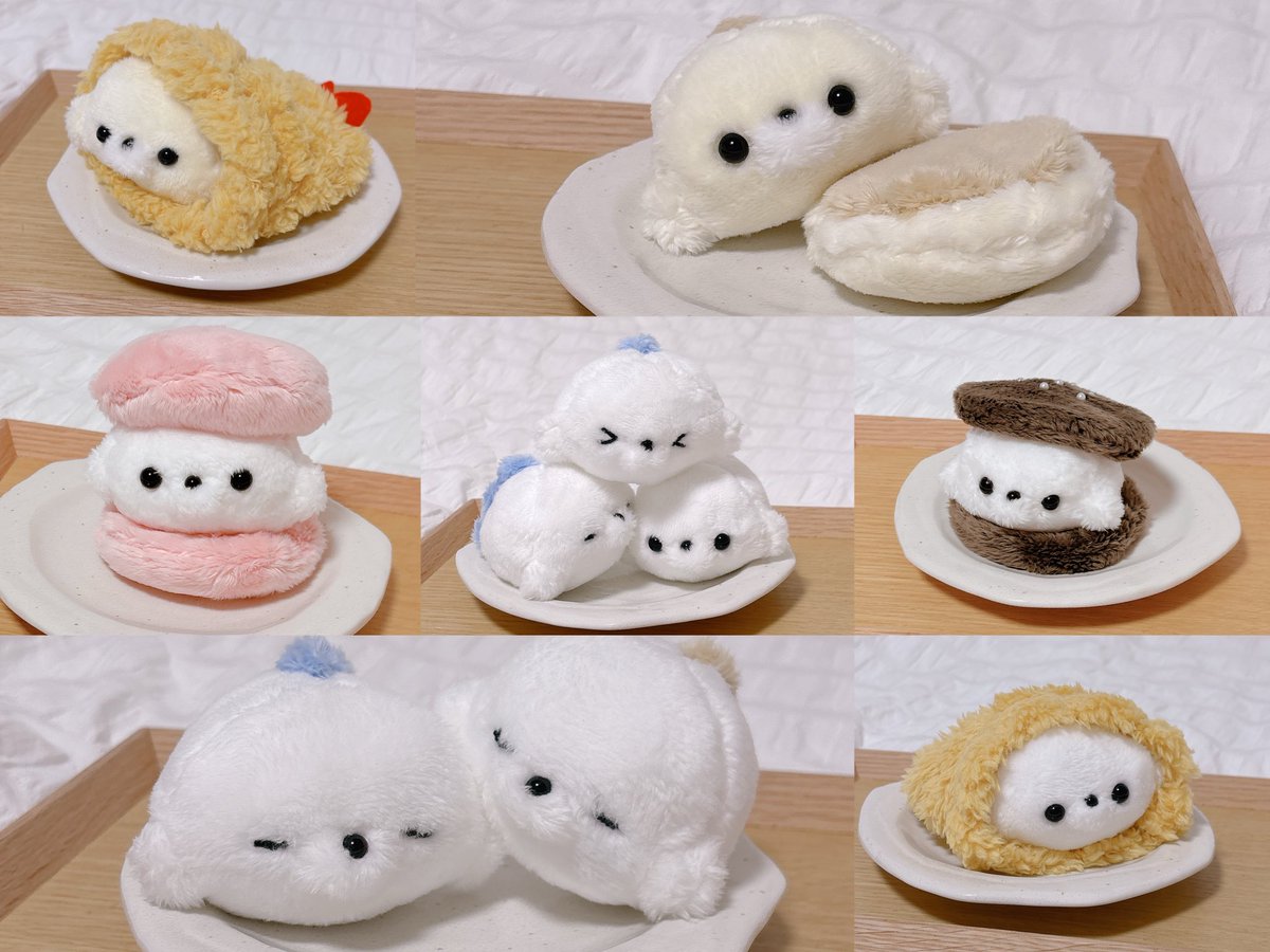 本日21時からぽってりちゃんたちの
お迎えを募集します！⸜(*´ᗜ｀*)⸝
🏡 ꒰ tinyparade.base.shop ꒱