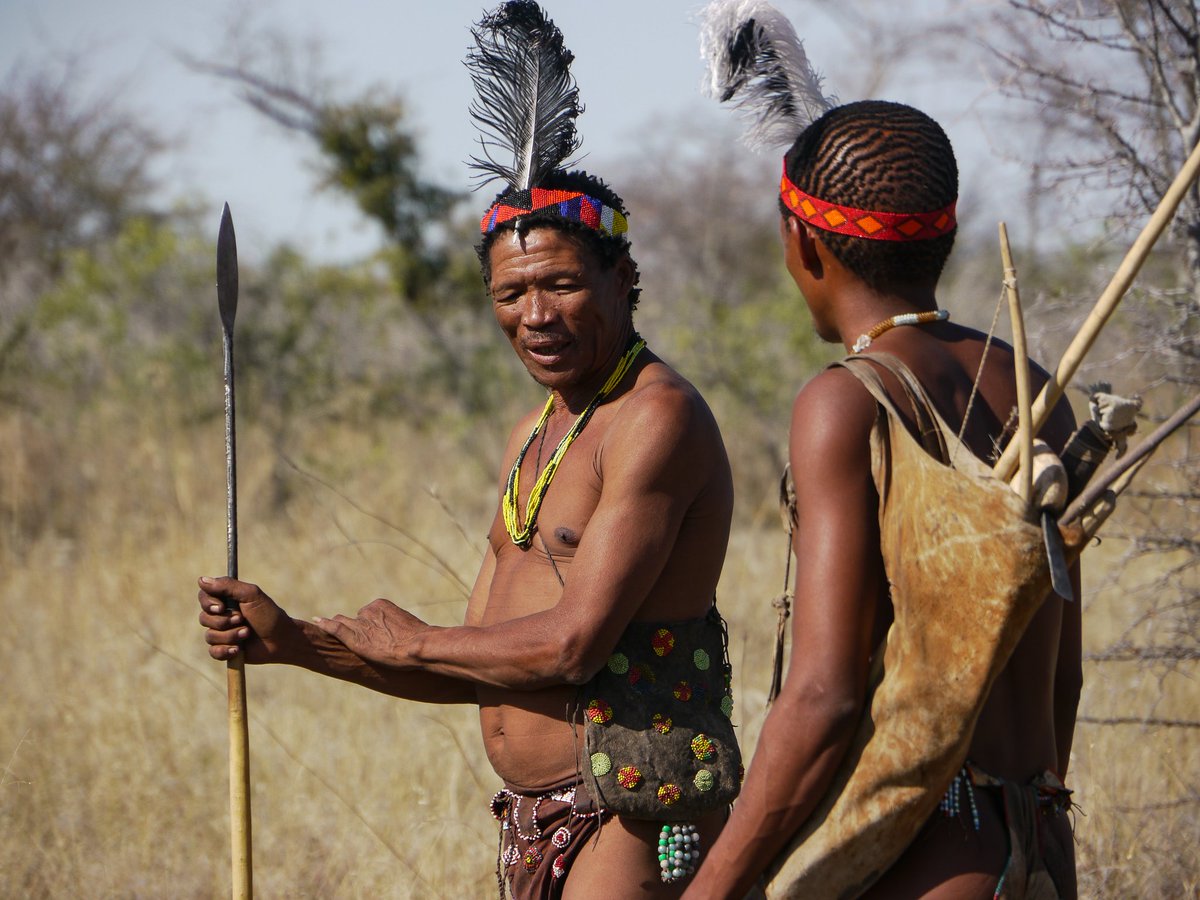 Official African BushMan🇺🇸 (@officialbushman) on Twitter photo <a href="/kimani_cynthia/">Cynthia Patrick's 🇰🇪</a> <a href="/CessNdiritu/">CeccyNdiritu</a> <a href="/CBaragu39172/">Cliff Baragu</a> <a href="/Antoniotonny_5/">sir AntonioTonny</a> <a href="/ciiramaina/">ciiramaina</a> <a href="/helenMaIgnatius/">Ma Ignatius & Nemesius</a> <a href="/Lucypau43921191/">Lucypaul ( mamake Maina 💕)</a> <a href="/Classic105Kenya/">Classic 105 Kenya</a> <a href="/MikeMondo1/">Mike Mondo</a> Come To Oshiwambo Bushlands County We Have Bushmen 🫣🤣 be #MikeAndKingangi <a href="/kimani_cynthia/">Cynthia Patrick's 🇰🇪</a> <a href="/CessNdiritu/">CeccyNdiritu</a> <a href="/CBaragu39172/">Cliff Baragu</a> <a href="/Antoniotonny_5/">sir AntonioTonny</a> <a href="/ciiramaina/">ciiramaina</a> <a href="/helenMaIgnatius/">Ma Ignatius & Nemesius</a> <a href="/Lucypau43921191/">Lucypaul ( mamake Maina 💕)</a> <a href="/Classic105Kenya/">Classic 105 Kenya</a> <a href="/MikeMondo1/">Mike Mondo</a> Come To Oshiwambo Bushlands County We Have Bushmen 🫣🤣 be #MikeAndKingangi