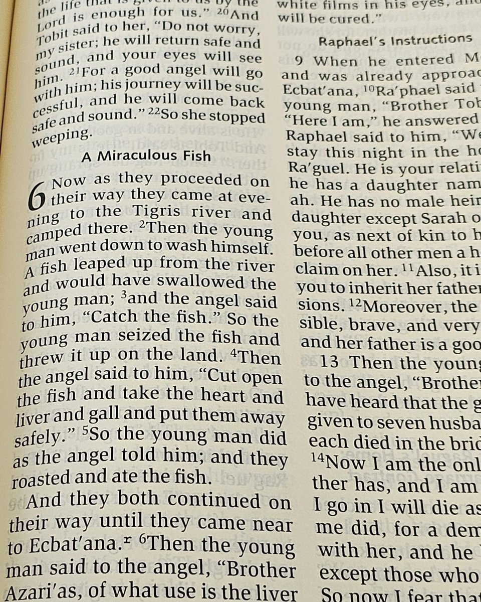 CAP the LEGEND ππ β_β (@capthelegend) on Twitter photo I'm finding Jesus for a Lil minute no worries guys.  Hotdogs forever. I'm finding Jesus for a Lil minute no worries guys.  Hotdogs forever.