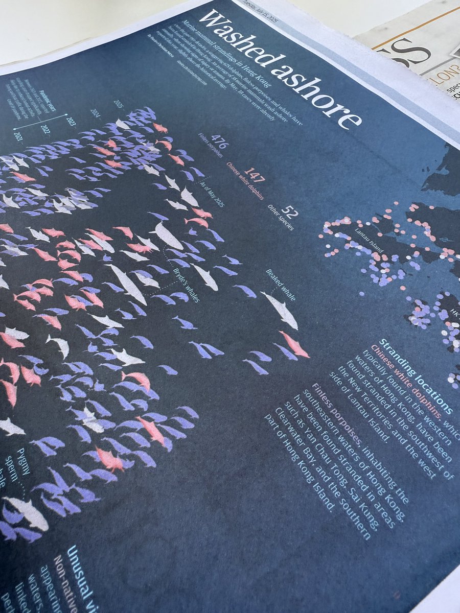 dapihes's tweet image. Let’s take a swim with every Chinese white dolphins and other marine mammals ever stranded in Hong Kong in the last two decades 🐬

Published on SCMP print and online