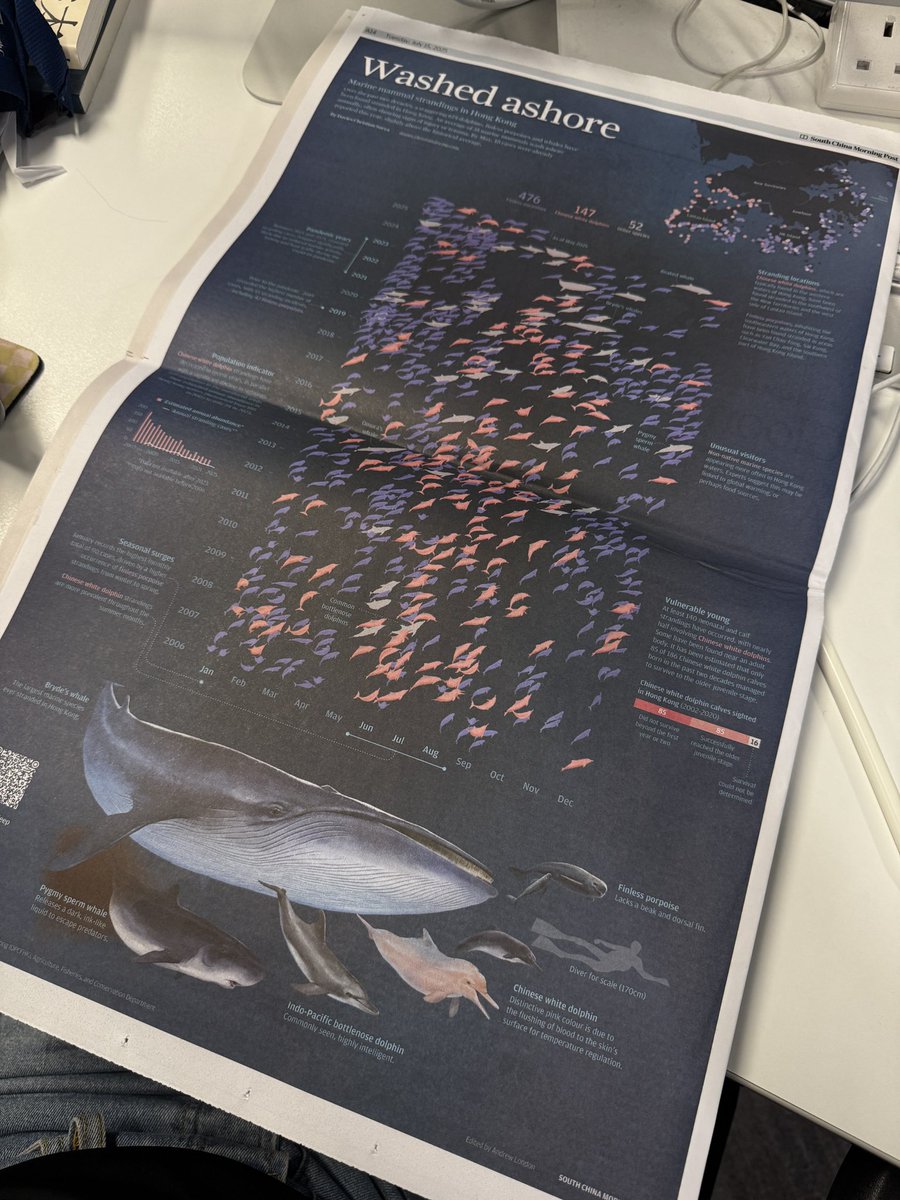dapihes's tweet image. Let’s take a swim with every Chinese white dolphins and other marine mammals ever stranded in Hong Kong in the last two decades 🐬

Published on SCMP print and online