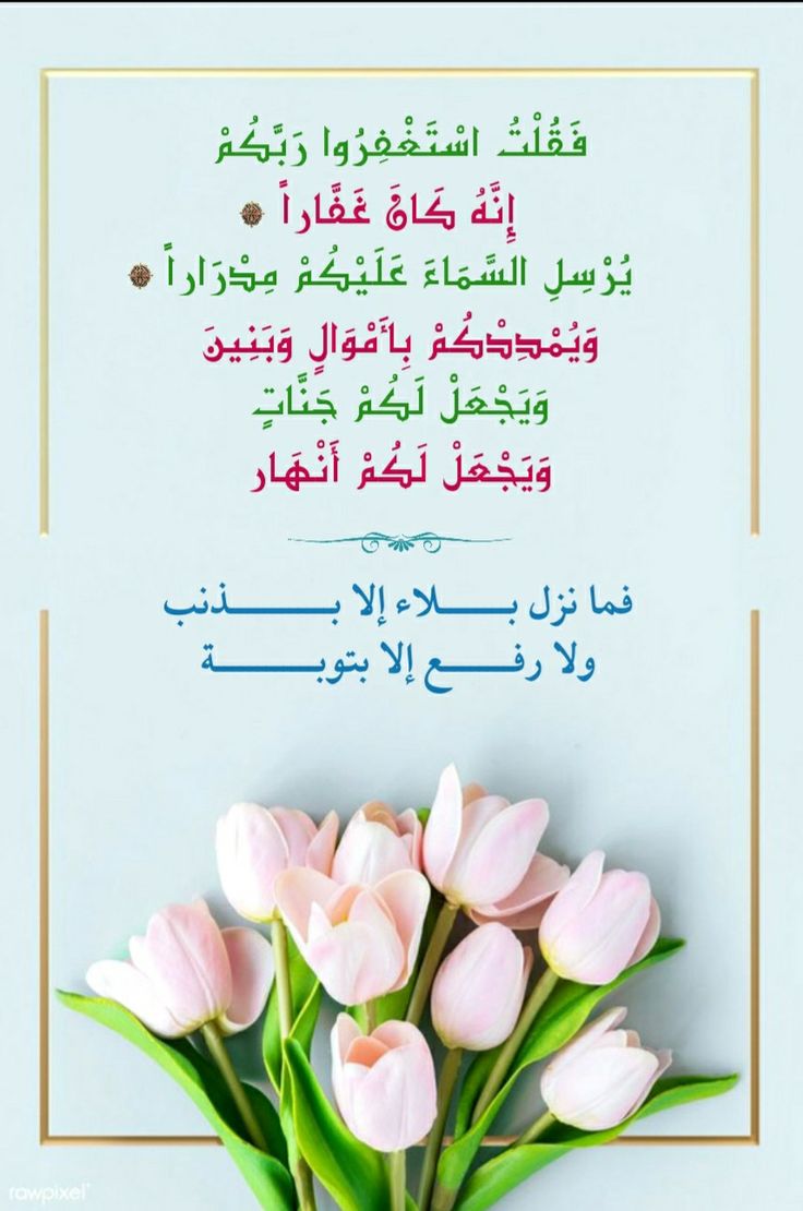 أصبحنا وأصبح الملك لله رب العالمين. 
صباح الخير جميعأ