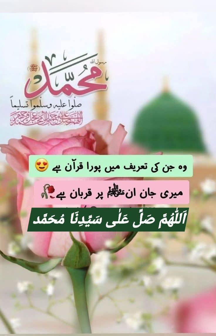 السلام علیکم ورحمتہ اللّٰہ وبرکاتہ 🫶
صبح بخیر پیارے لوگوں ❤️
اَلصَّـلٰوةُوَالسَّـلَامُ عَلَیـْكَ یَارَسُـوْلَ اللّٰهﷺ📿

Good Morning, May your day be Blessed Bright and Beautiful...💕

#TDR__now