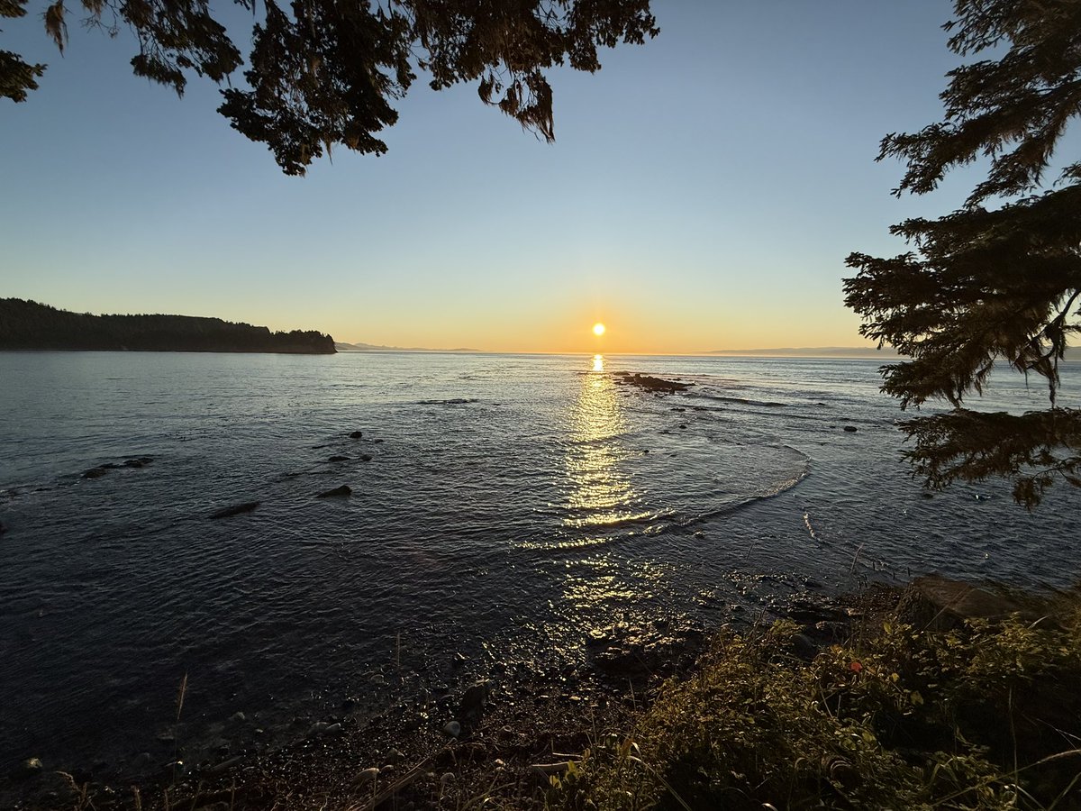 SangudoStables's tweet image. GE from near Olympic NP. 50th state as a family! Mission we set years ago to finish before our oldest graduated, she’s going into her senior year.