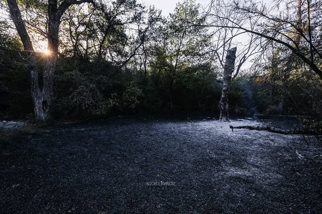 Docmet's tweet image. Тварі шахедами  вбивають заповідну  Хортицю! Гній Землі!