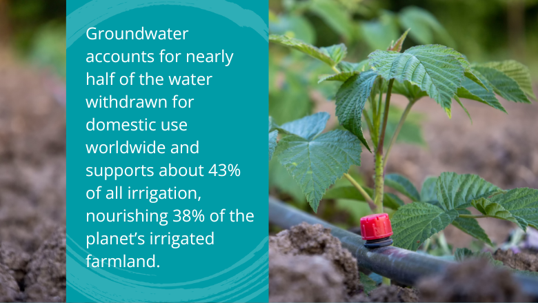 Groundwater is our most vital freshwater resource. New data is helping us understand more about the interdependencies between groundwater-dependent ecosystems, food security, and social stability.

Find out more in our recent blog👉wrld.bg/PcM950WmGSU