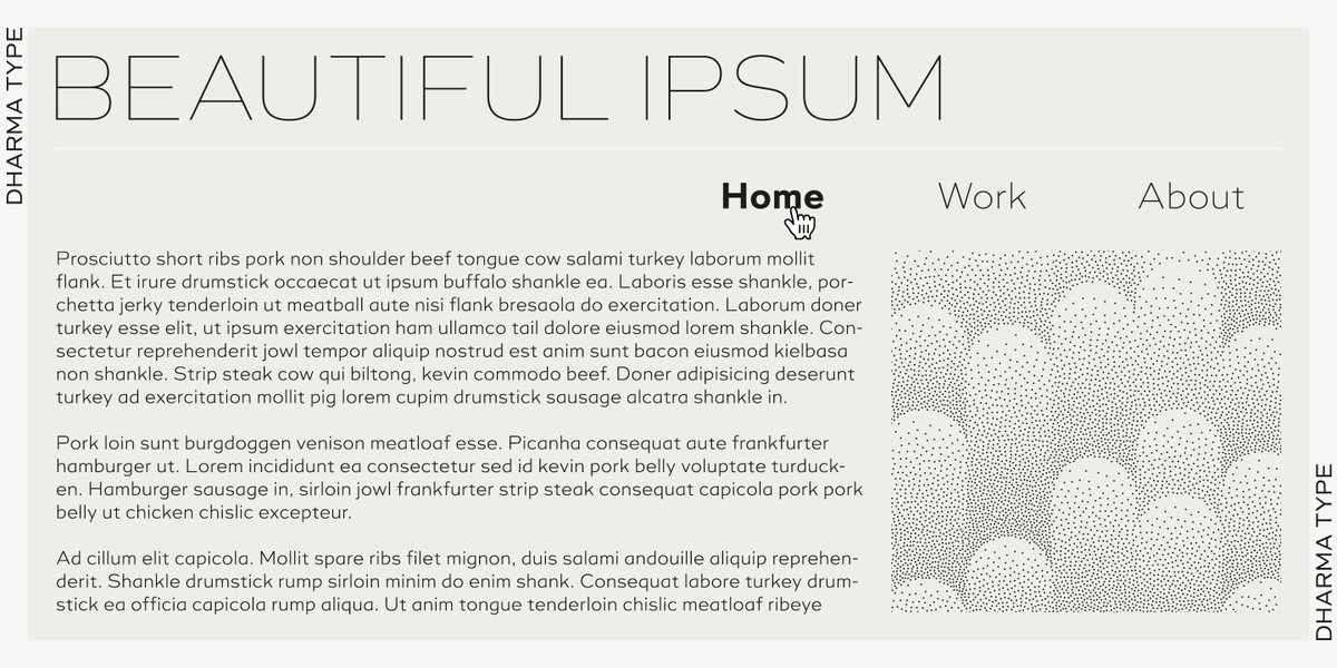 Quic
#font #typography #logo #typeface #dharmatype