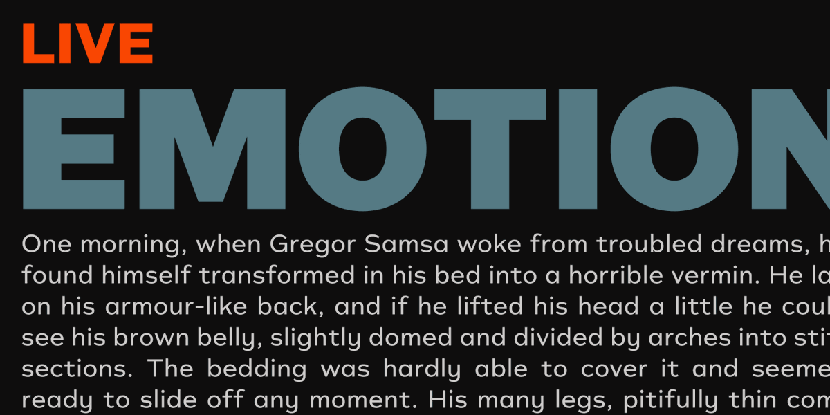 Typonium
#font #typography #logo #typeface #dharmatype