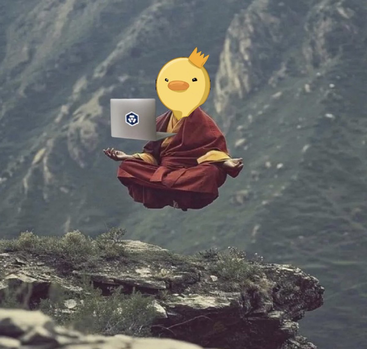 duckk_xrd's tweet image. The path to enlightenment begins by hodling $DUCKK 🐥🔪
