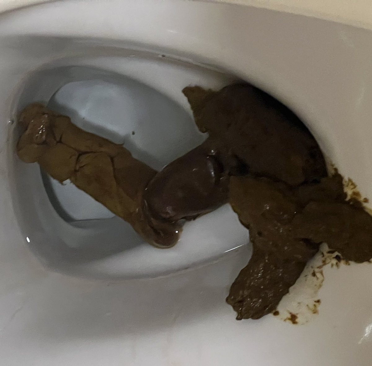 でちゃったよー
めっちゃながかった