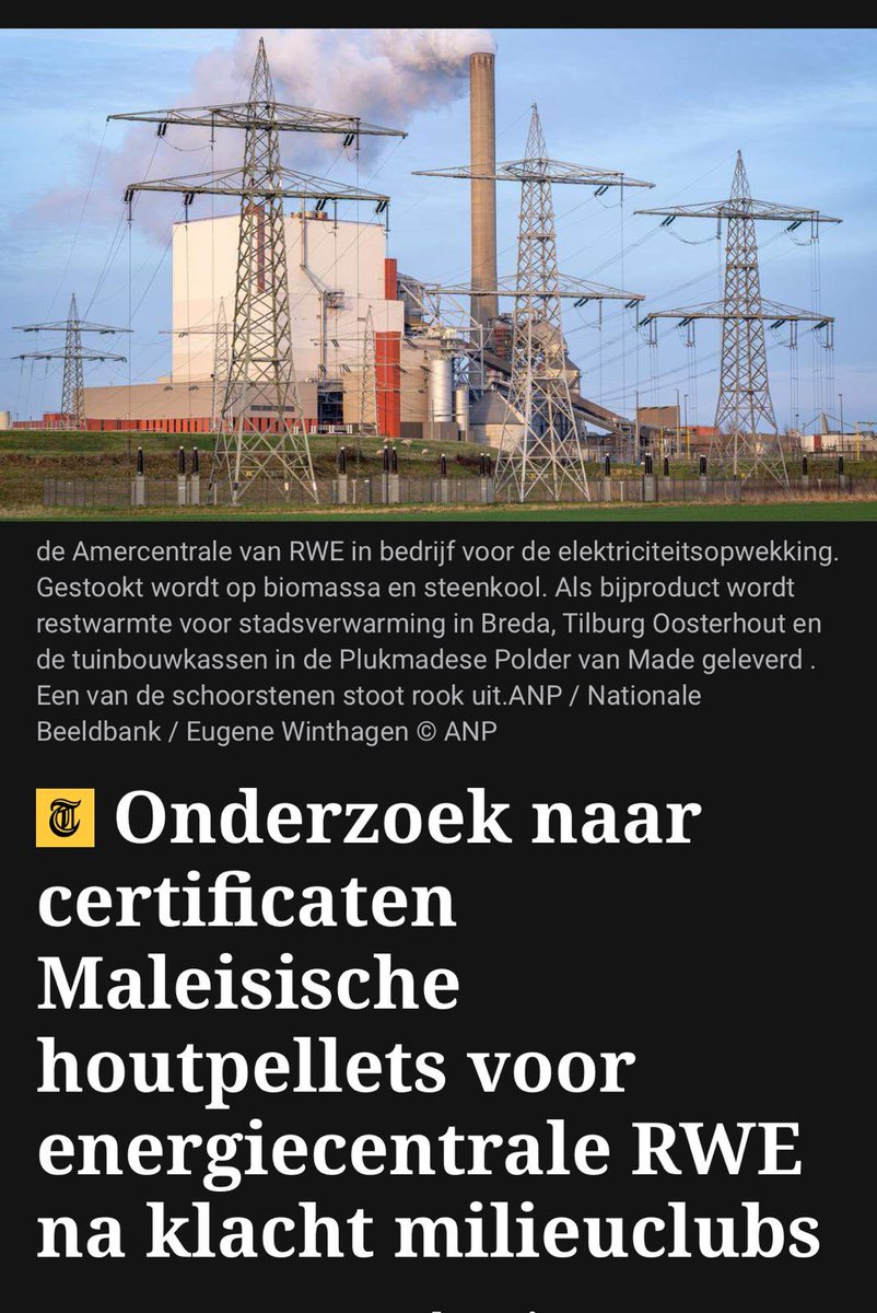 Het woord ‘bio’ is niet langer een garantie, maar een marketingmedaille. Bio is het nieuwe bio-blufje. Ooit stond het op de verpakking van eerlijke appels, ambachtelijk gekweekte courgettes en lokaal geschoren schapenwol. Sinds enkele jaren prijkt het ook op hout afkomstig van