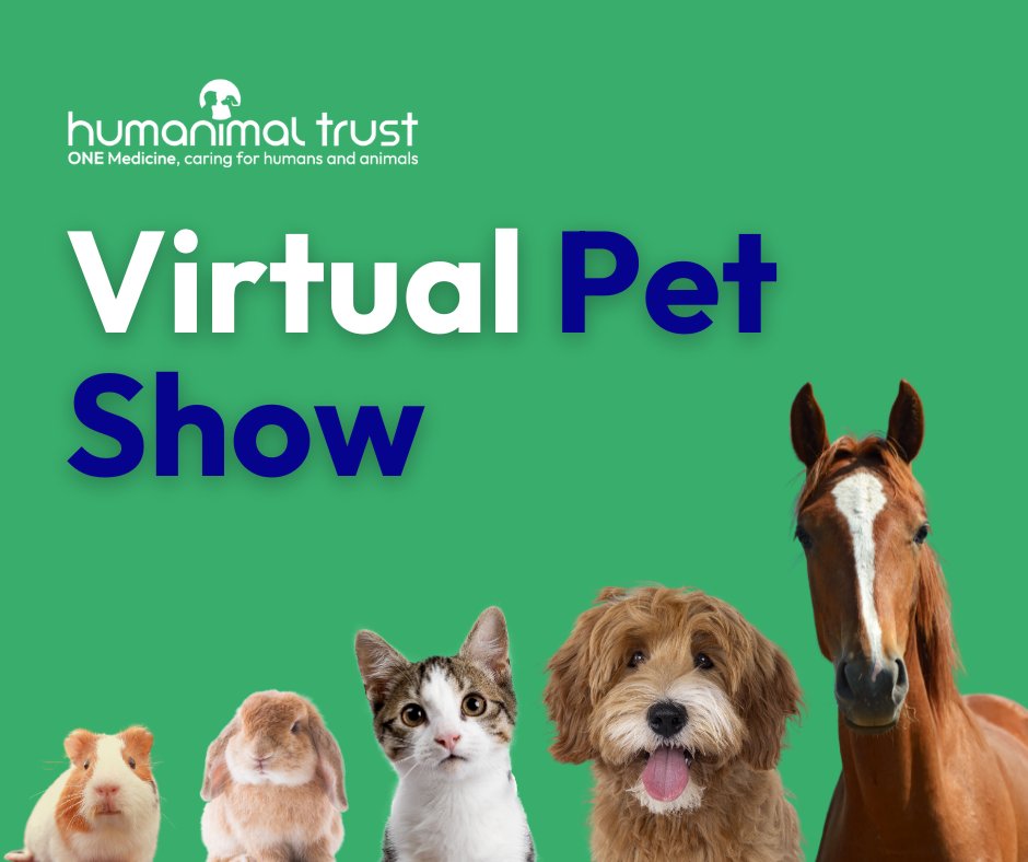 HumanimalTrust's tweet image. Introducing…the Humanimal Trust Virtual Pet Show!
Every animal has a story, and our Virtual Pet Show offers a chance to showcase our beloved companions and share the powerful ways we support each other's wellbeing.
humanimaltrust.org.uk/virtual-pet-sh…