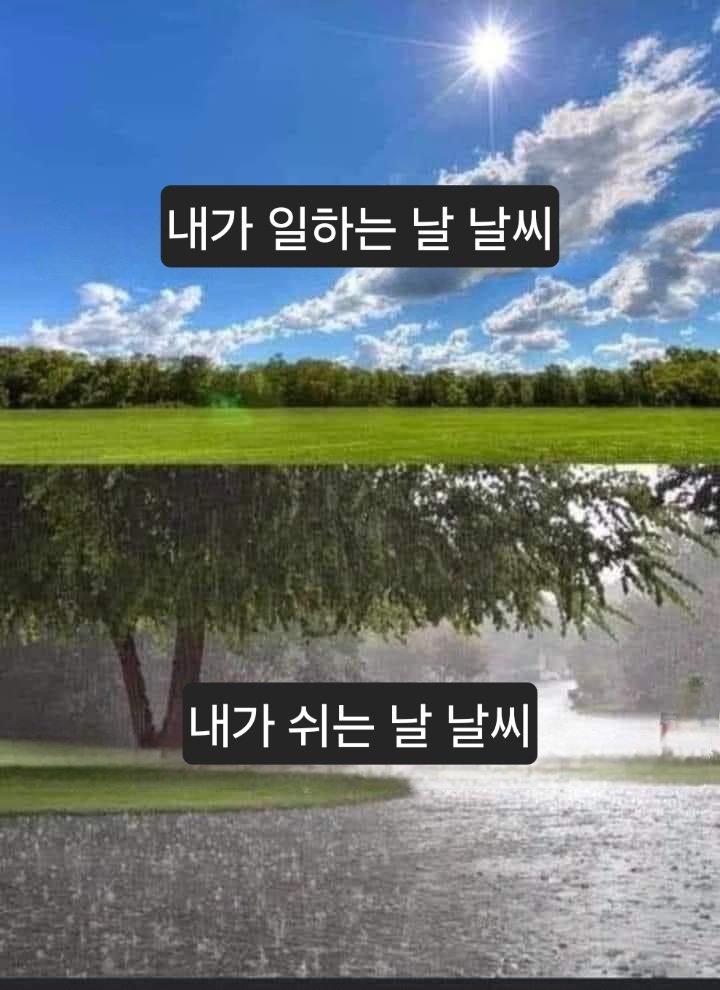 내가 일하는 날 날씨