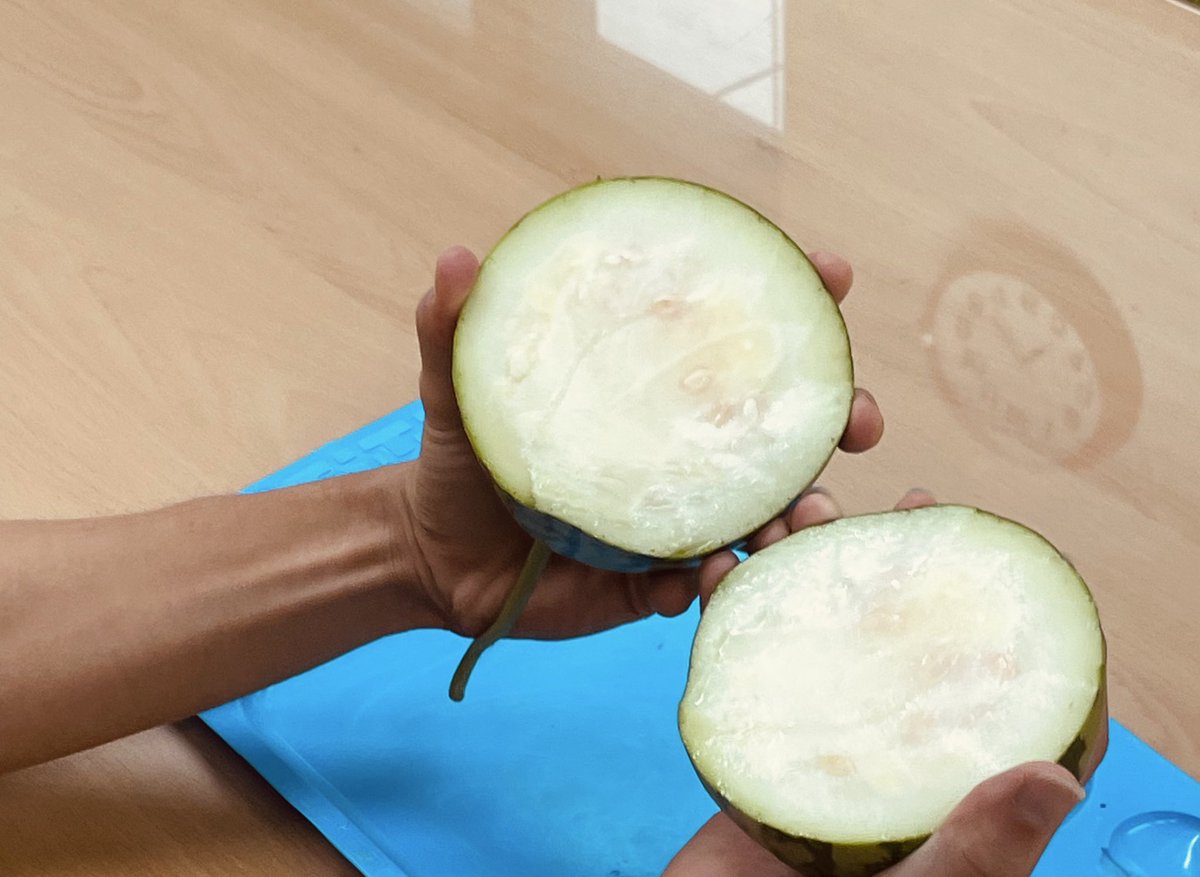 텃밭 수박 황당 사건..