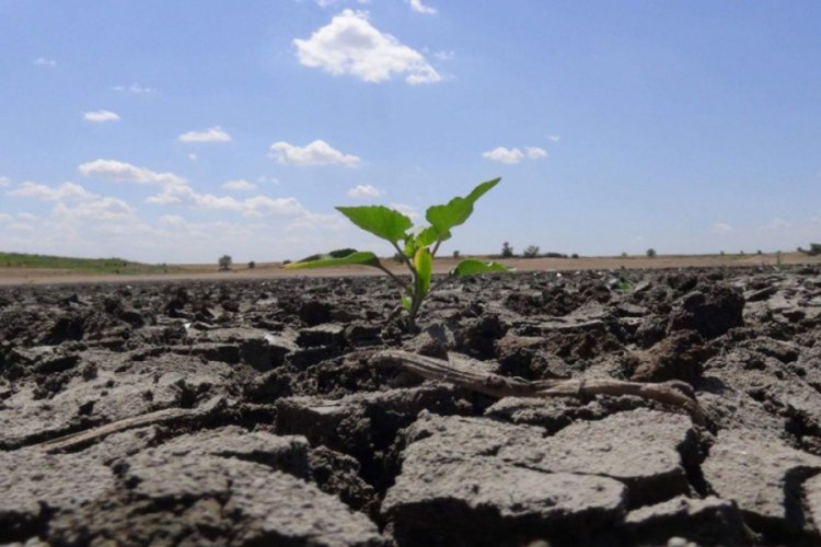 <a href="/LSohretsizler/">Liyakatli Şöhretsizler</a> #MadenYasasınıGeriÇek #AnahtarParti