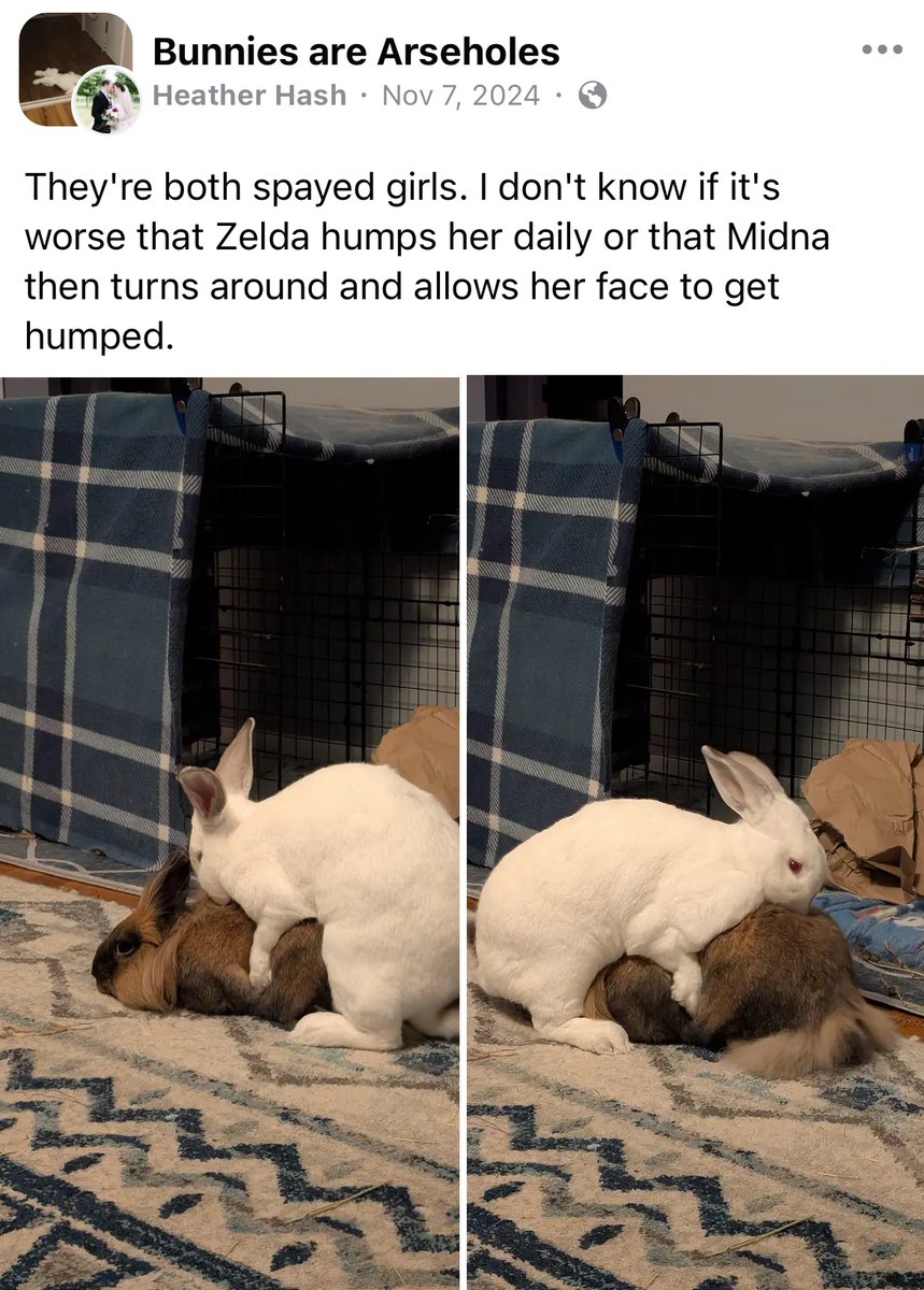 Images AI Could Never Recreate (@imagesaicouldnt) on Twitter photo 