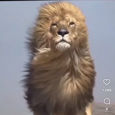 arasd0826's tweet photo. #YeniProfilResmi https://t.co/NIwWngV4q4