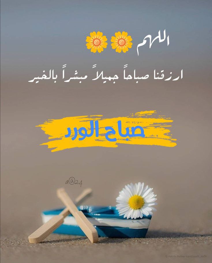 جنون سعودي (@oliviah84976731) on Twitter photo 