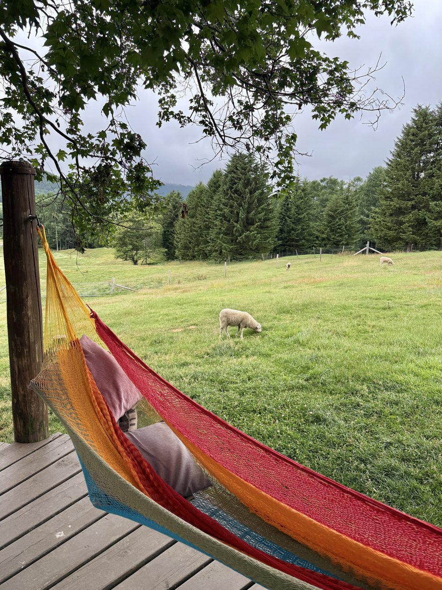 Alma_visited's tweet image. 敷地内に動物達がいっぱいいて癒されました
