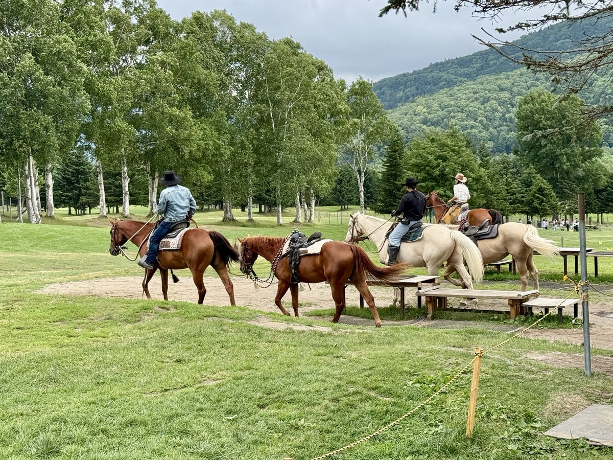 Alma_visited's tweet image. 敷地内に動物達がいっぱいいて癒されました