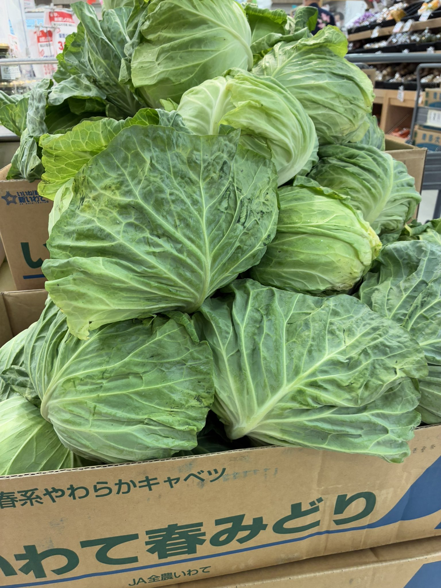 ἶ7Ἢ野菜の美食ἴὡἂ 野菜のちから (@yasai_no_chikara) • Instagram photos and videos