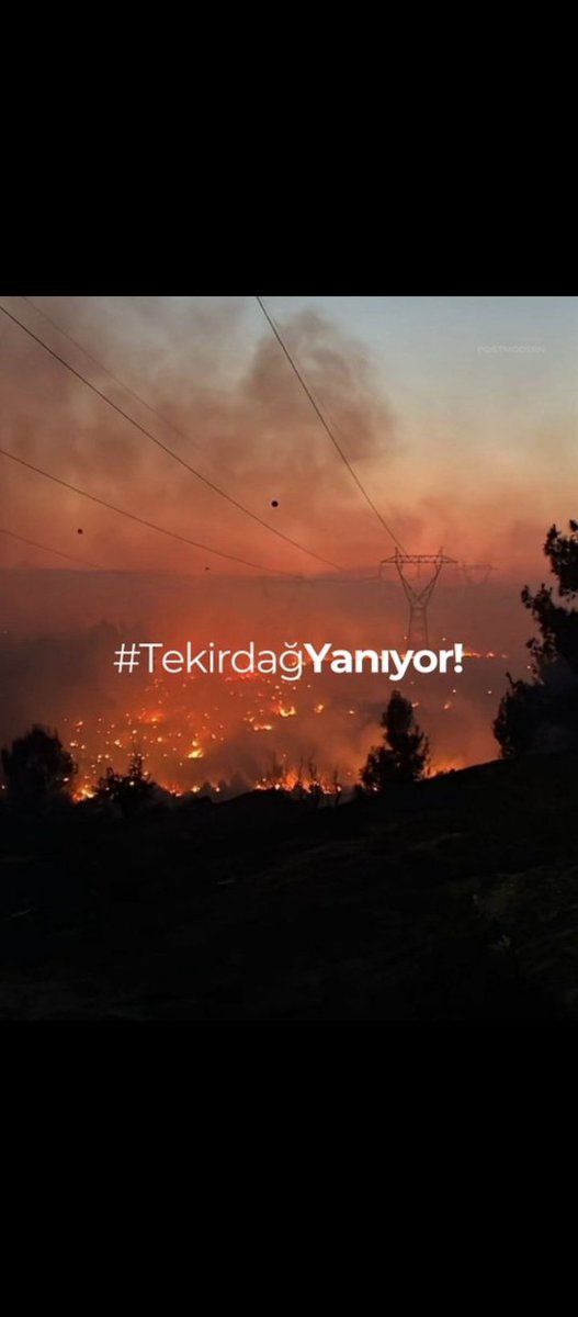 Memleketimin heryeri yanıyor. Şarköy yanıyor hayvanlar yanıyor🥺🥺 #tekirdağyanıyor