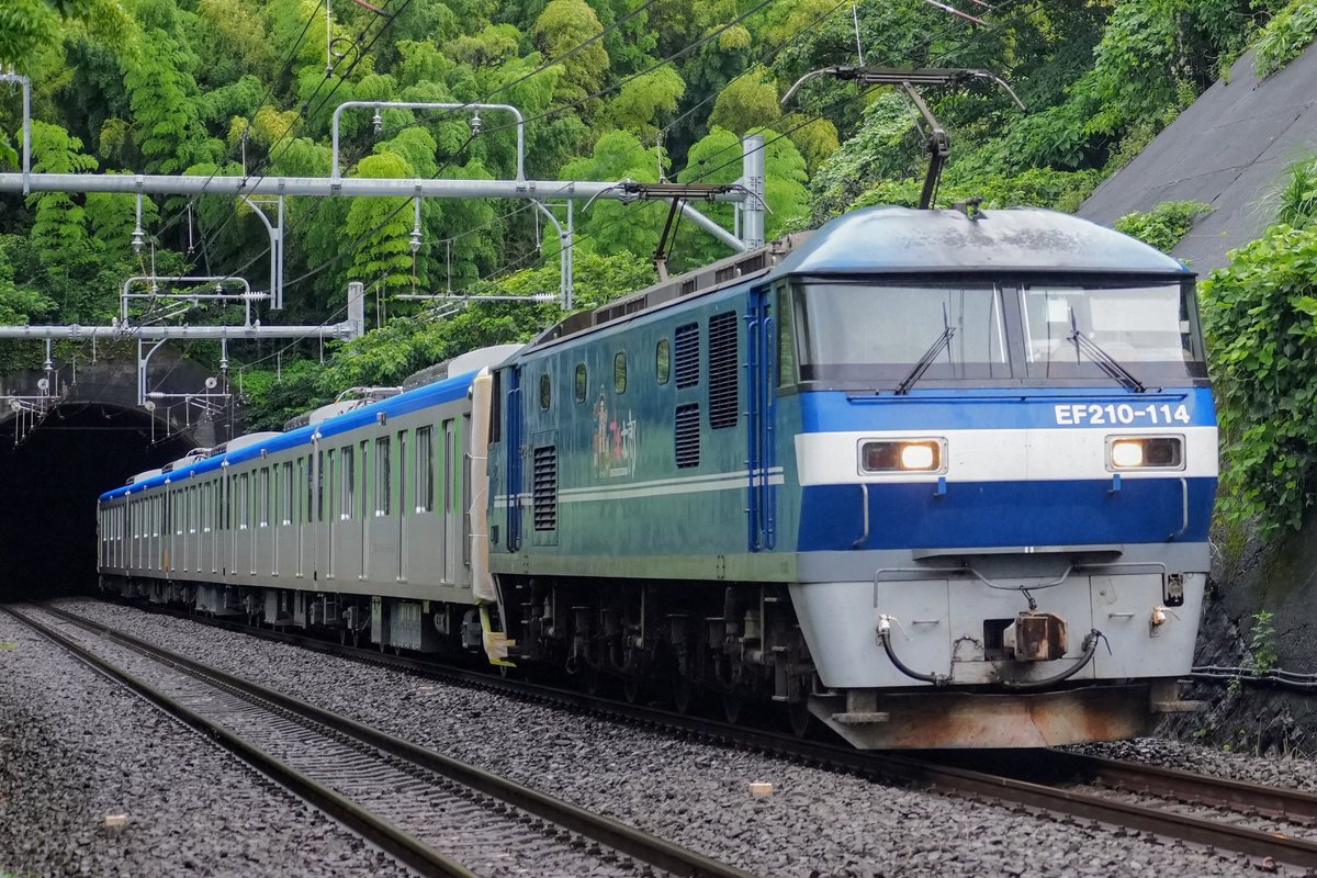 trainphoto2025's tweet image. 2025年7月16日
東武 60000系61501F 甲種輸送(二日目)
真鶴〜根府川
5両編成になっての出場。
撮影地までの階段が雑草ヤバくてジャングル状態。
藪蚊に刺されまくりでした。